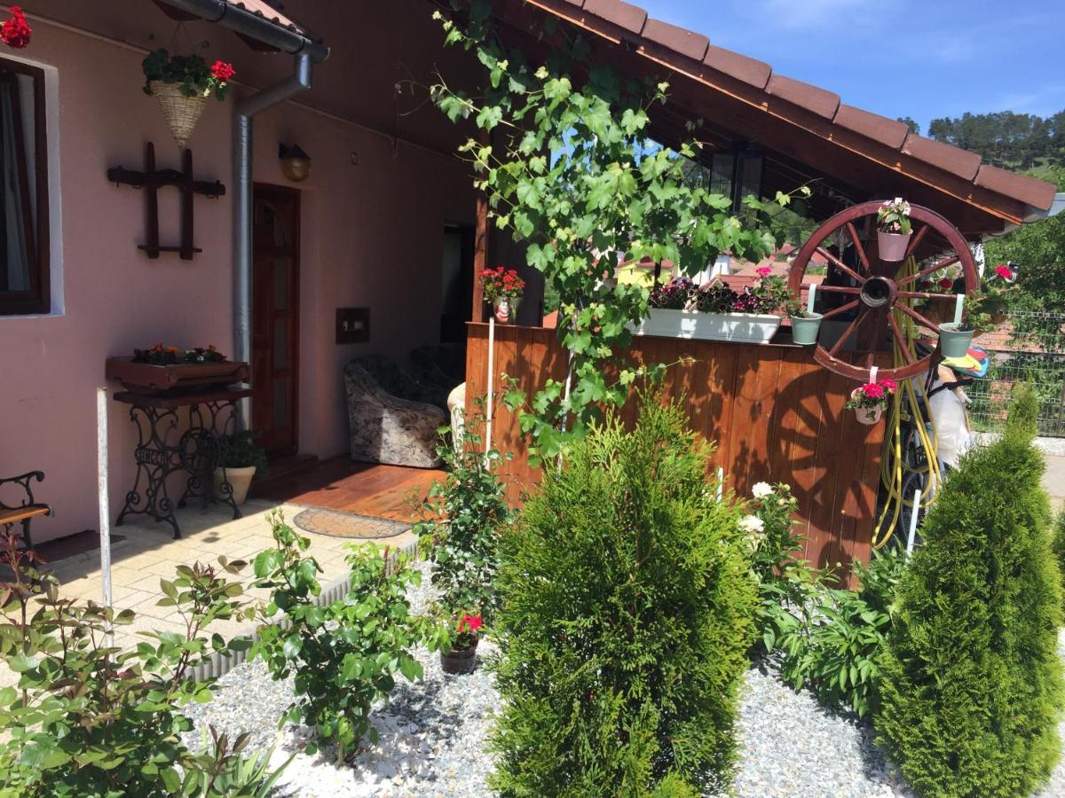 Вилла Casa Rustica Cu Terasa Медиаш Экстерьер фото